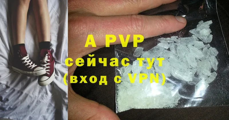 A-PVP СК КРИС  Кисловодск 